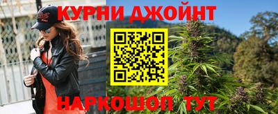 крисы Кингисепп
