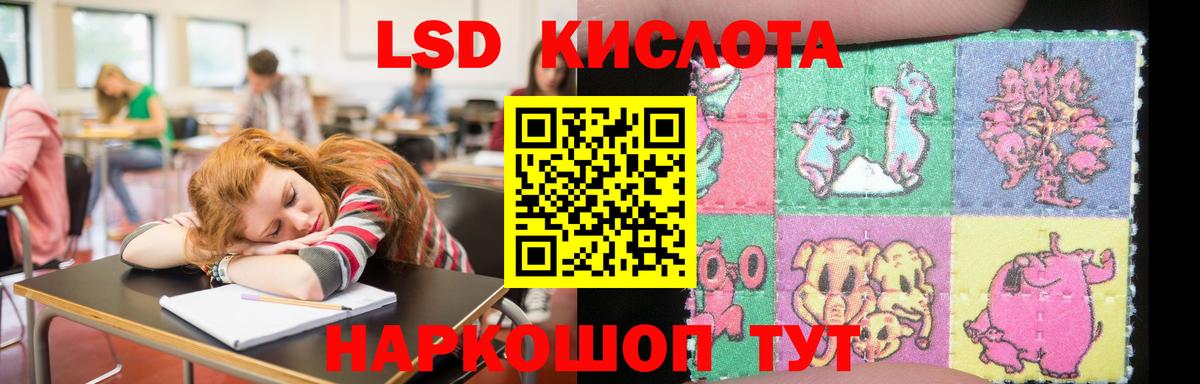 LSD-25 экстази кислота Кингисепп