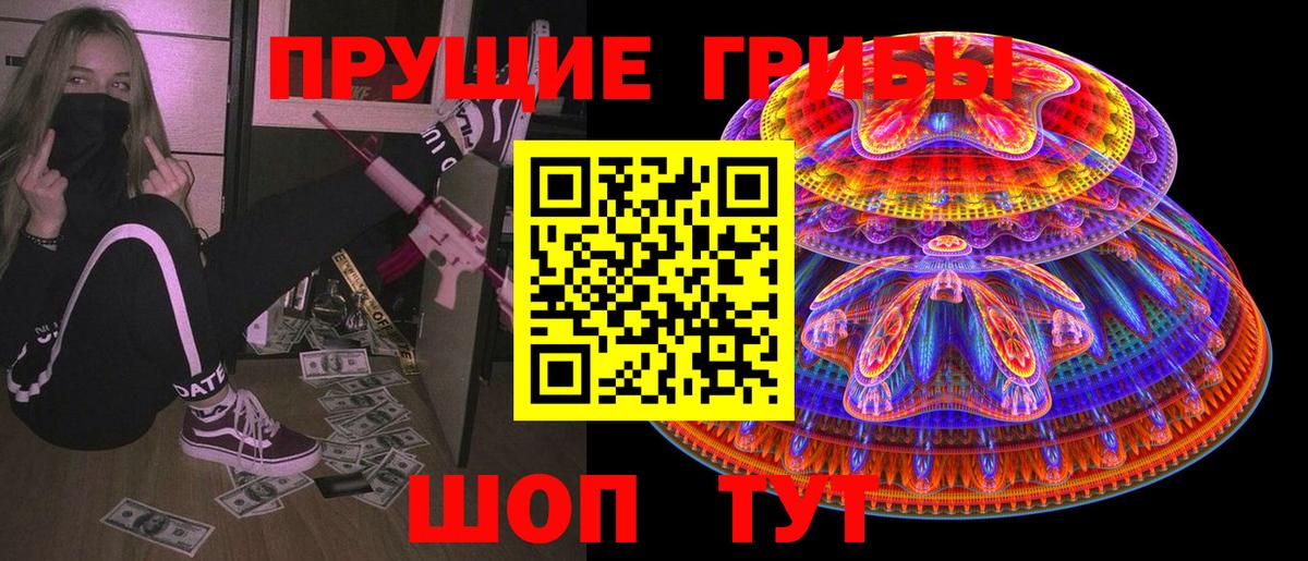 Псилоцибиновые грибы Psilocybine cubensis Кингисепп